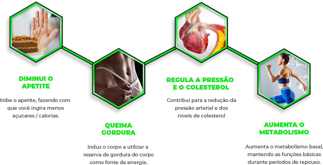 hexágonos